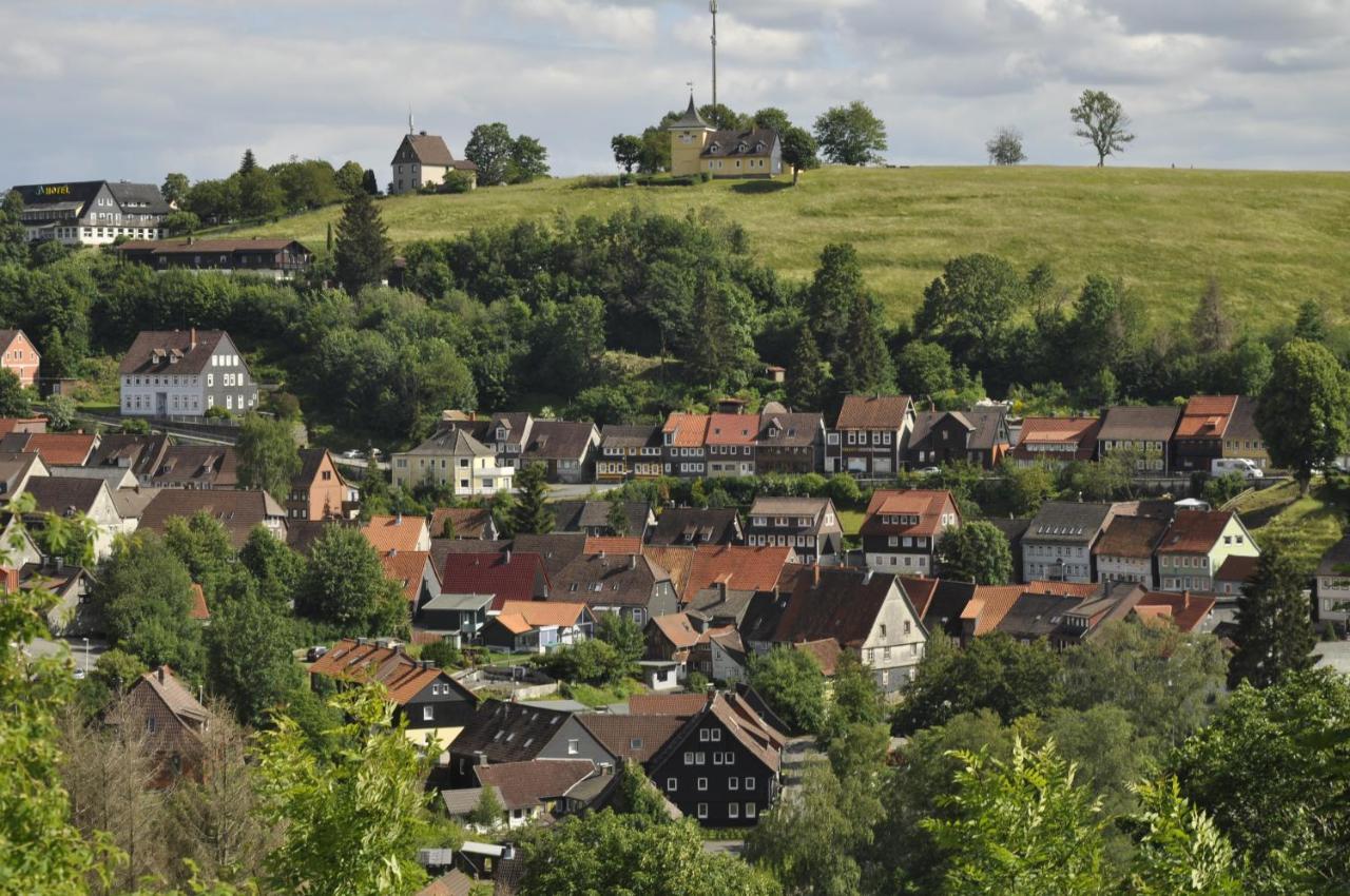 Gästehaus Harzluft / Gruppenferienhaus Sankt Andreasberg Exterior foto